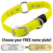  shop BRIGHT YELLOW BIG DAWG 1 in. Biothane O-Ring Collar