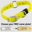 BRIGHT YELLOW BIG DAWG 1 in. Biothane O-Ring Collar