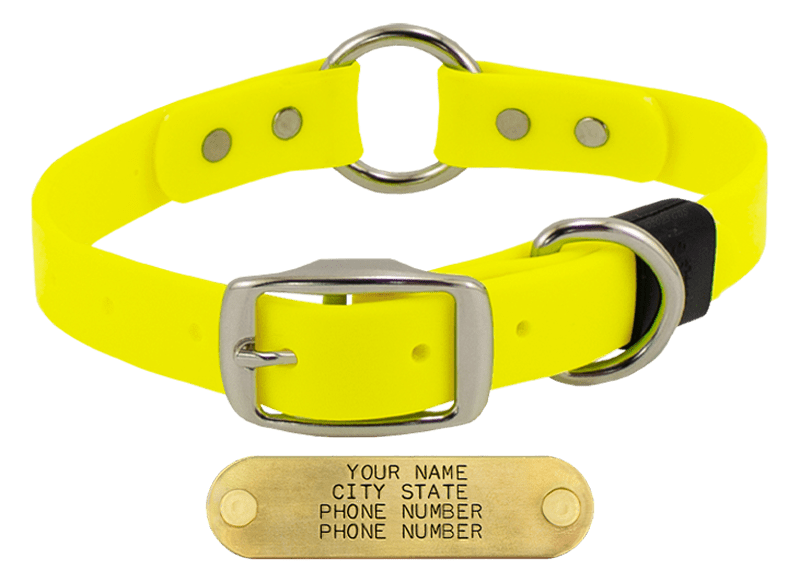BRIGHT YELLOW BIG DAWG 1 in. SuperHeavy Biothane ORing Collar. 16.99.