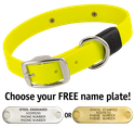 BRIGHT YELLOW BIG DAWG 1 in. Biothane Standard Collar