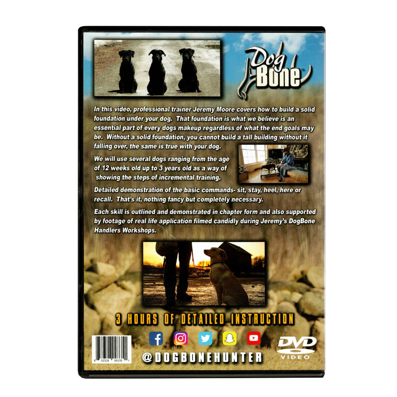 Building a Solid Foundation Back