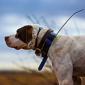 Shop Dog Tracking Collars & Systems for Hunting Dogs