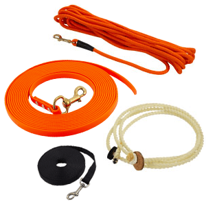 Bird Dog Training Supplies: Essential Gear for Success