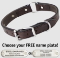 CHOCOLATE BROWN The Bull Premium 2-Ply Leather O-Ring Dog Collar
