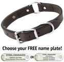 CHOCOLATE BROWN The Bull Premium 2-Ply Leather O-Ring Dog Collar