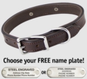 CHOCOLATE BROWN The Bull Premium 2-Ply Leather Standard Dog Collar