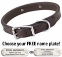 The Bull Premium 2-Ply Leather Standard Dog Collar