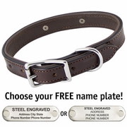 The Bull Premium 2-Ply Leather Standard Dog Collar