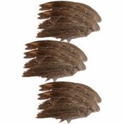 Chukar Wings -- 6 Pack