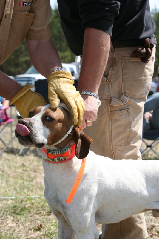 Click Gun Dog Supply