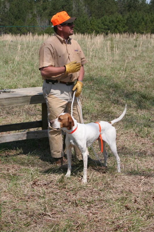 Click Gun Dog Supply