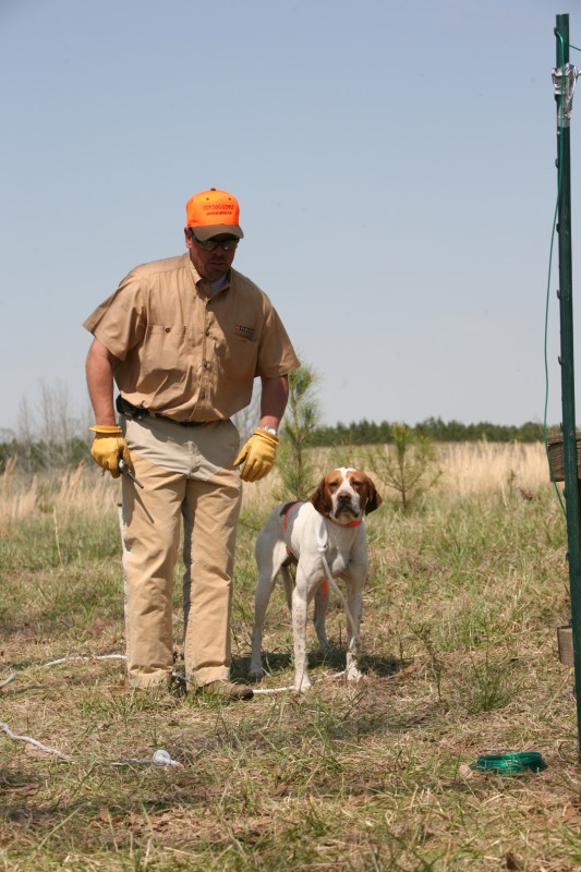 Click Gun Dog Supply