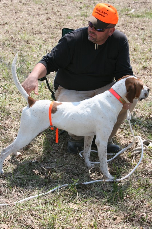 Click Gun Dog Supply