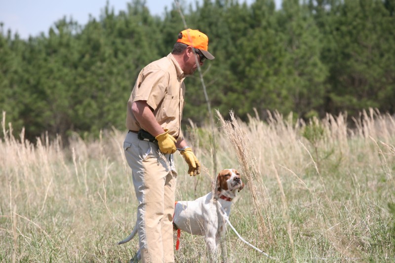 Click Gun Dog Supply