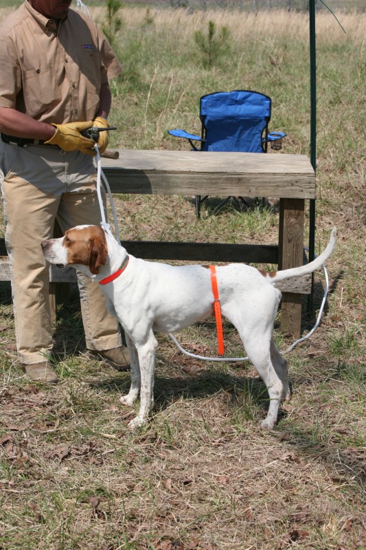 Click Gun Dog Supply