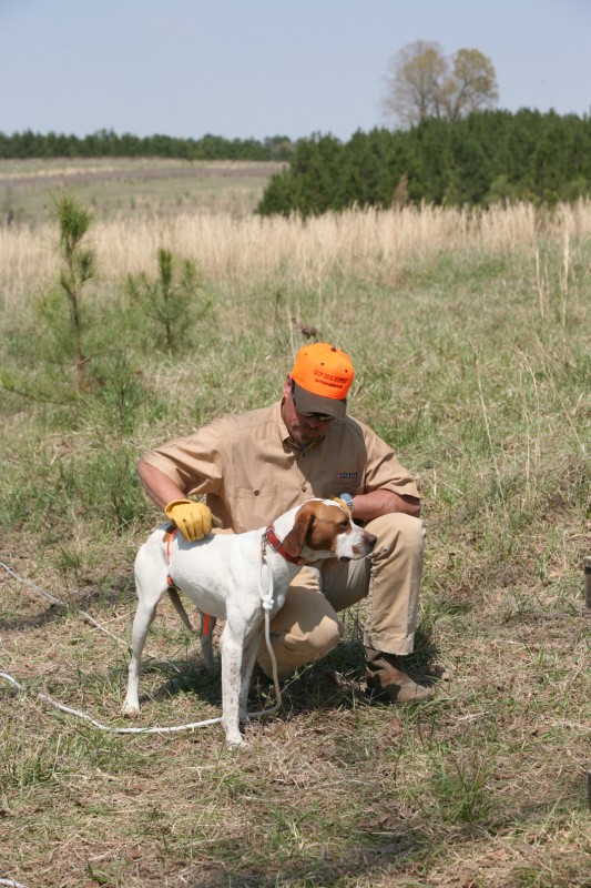 Click Gun Dog Supply