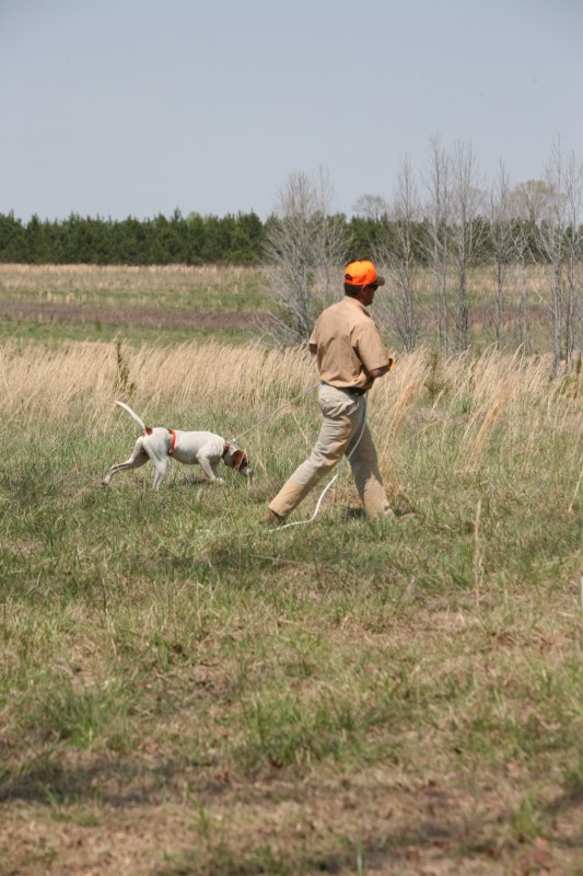 Click Gun Dog Supply