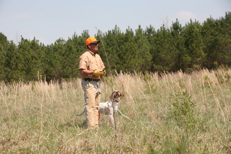 Click Gun Dog Supply