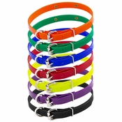 CLOSEOUT: 3/4 in. SunGlo D-End Puppy Collars