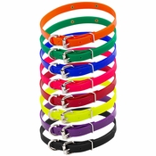 CLOSEOUT: 3/4 in. SunGlo D-End Puppy Collars
