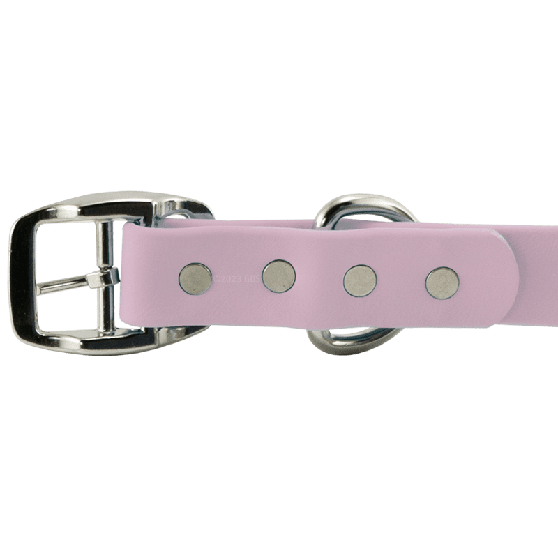 Super Heavy Biothane Center Ring Collar Buckle Detail