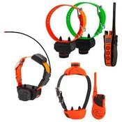  shop Combination Beeper / Training Collars