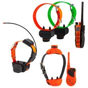 Combination Beeper / Training Collars