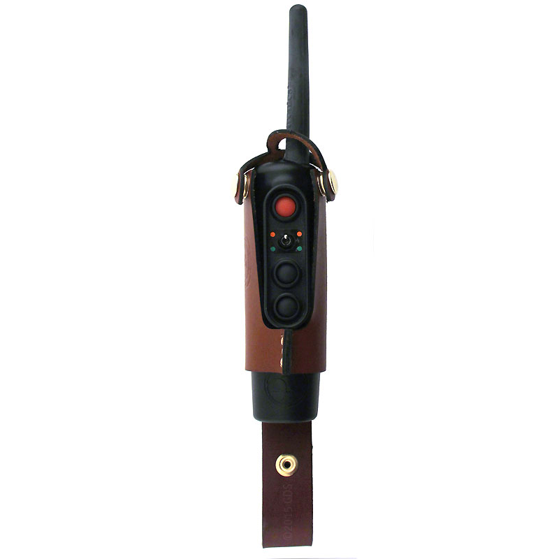Coyote PRO Holster with Flyway G2