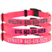 NEON PINK 3/4 in. Custom Embroidered Kwik Klip Nylon Dog Collar