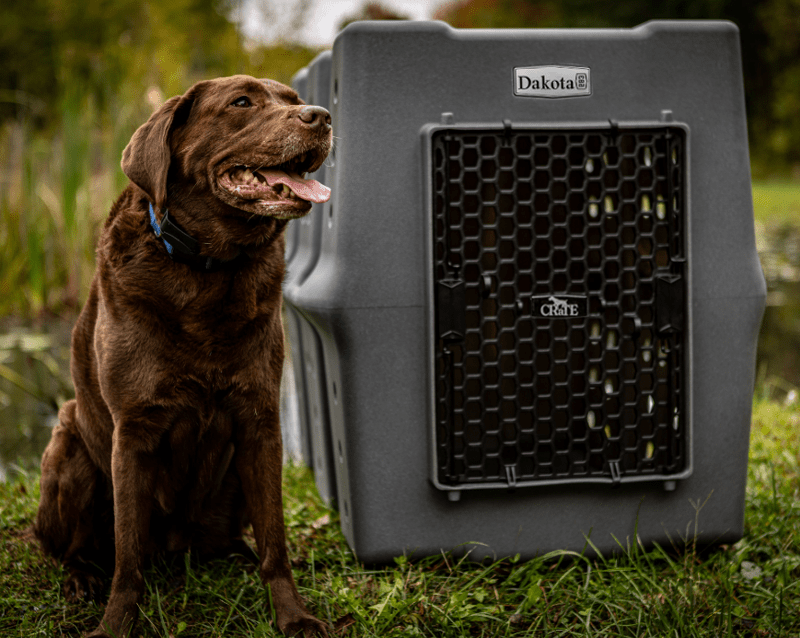 Dakota 283 X-Large CRaTE Dog Kennel | Gun Dog Supply