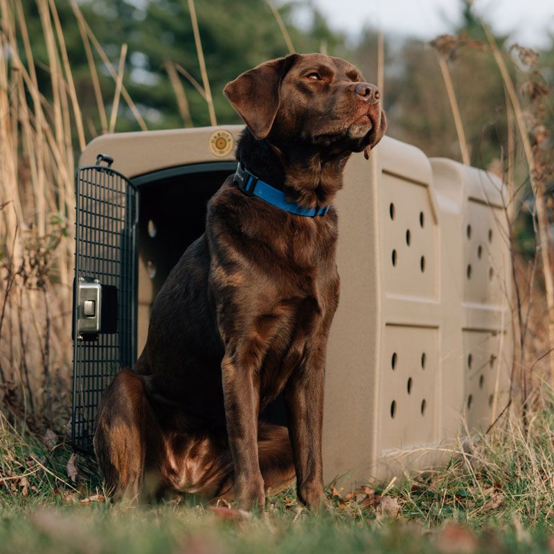 Dakota 283 G3 Framed Door Large Dog Kennel | Gun Dog Supply