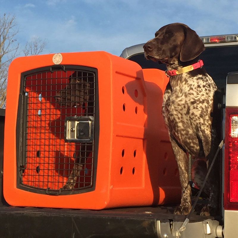 Dakota 283 G3 Framed Door Medium Dog Kennel | Gun Dog Supply