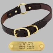 1 in. Dark Brown Leather Center-Ring Safety Dog Collar with Name Plate