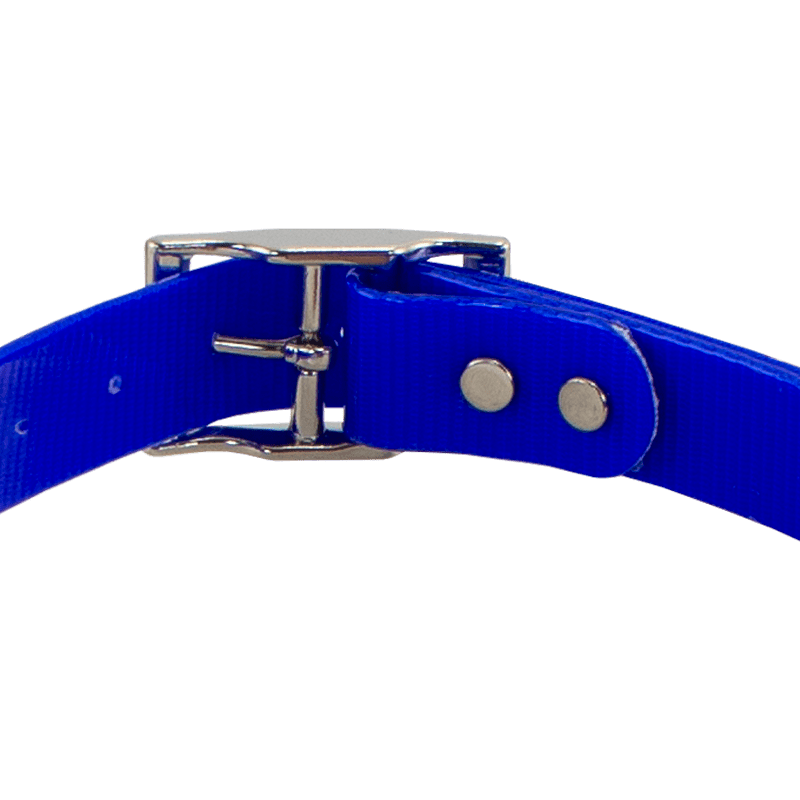 SunGlo Center Ring Collar Back of Buckle Detail