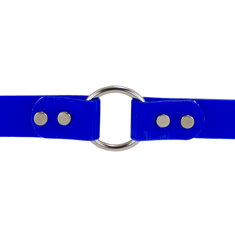 SunGlo Center Ring Collar Inside Ring Detail
