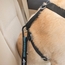 Direct to Seat Belt Tether Clip Detail