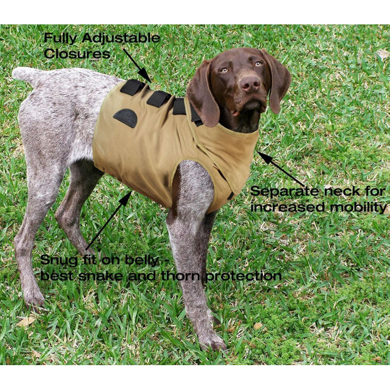 Dog Broad Chest Vest In Use w/ Diagram