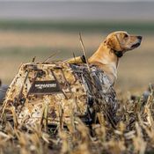  shop Duck Dog Stands, Blinds & Boat Ladders for Duck Hunting