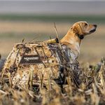  shop Duck Dog Stands, Blinds & Boat Ladders for Duck Hunting
