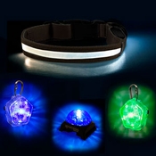 Dog Visibility and Tracking Lights