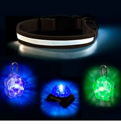 Dog Visibility and Tracking Lights