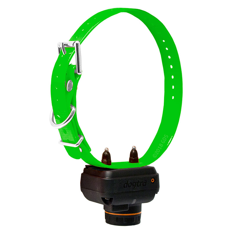 Dogtra 2702 T&B Green Collar