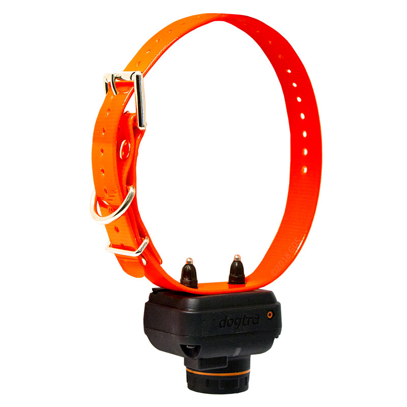Dogtra 2702 T&B Orange Collar