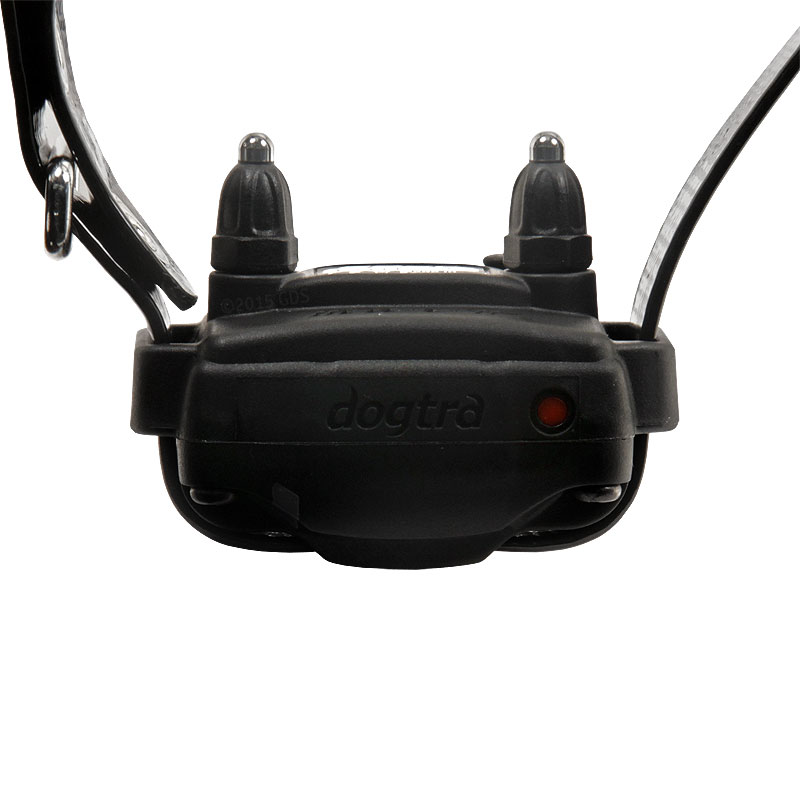 Dogtra 280C Receiver Front