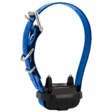 DOGリード　ADERERROR アーダーエラーDog collar Good Worth & Co. FTP Dog Collar 【SIZE:L】 (アクセサリー