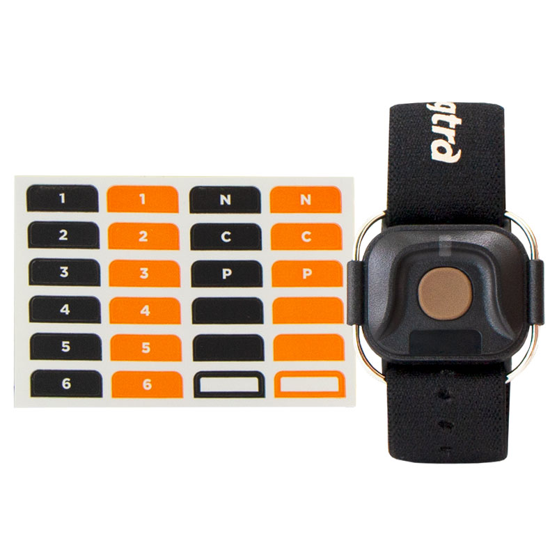 Dogtra Arc Handsfree Plus Remote with Stickers