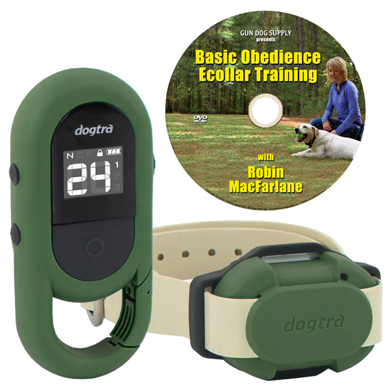 Dogtra CUE Remote Dog Training Collar. 199.99. FREE Shipping US48