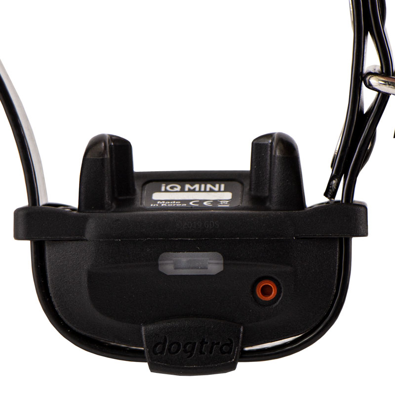 Dogtra iQ Mini Collar Front