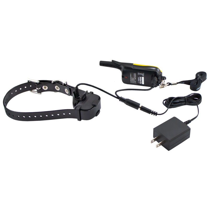 Dogtra iQ Mini Transmitter and Collar on Charger