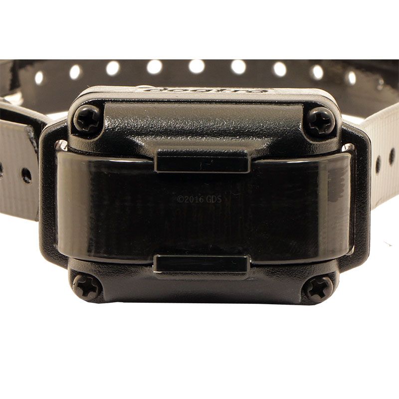 Dogtra iQ Plus Small Dog Training Collar. 179.99. FREE Shipping US48